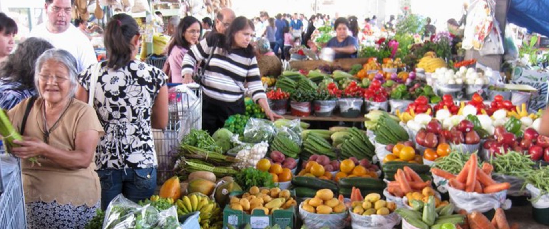Exploring the Best Farmers Markets in Texas